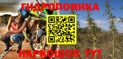 индика Пушкино